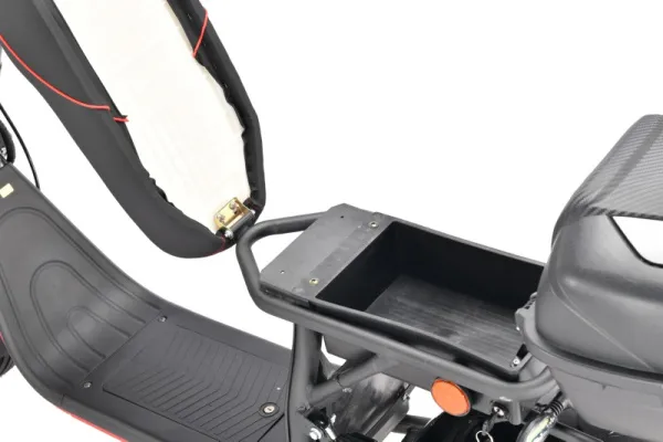 Электротрицикл White Siberia (Белая Сибирь) PRO TRIKE 3000W BLACK | Мототека