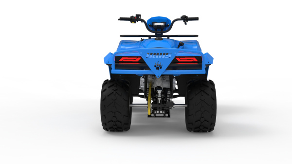 Квадроцикл IRBIS (Ирбис) ATV 250 LUX 2024 синий с ПСМ | Мототека